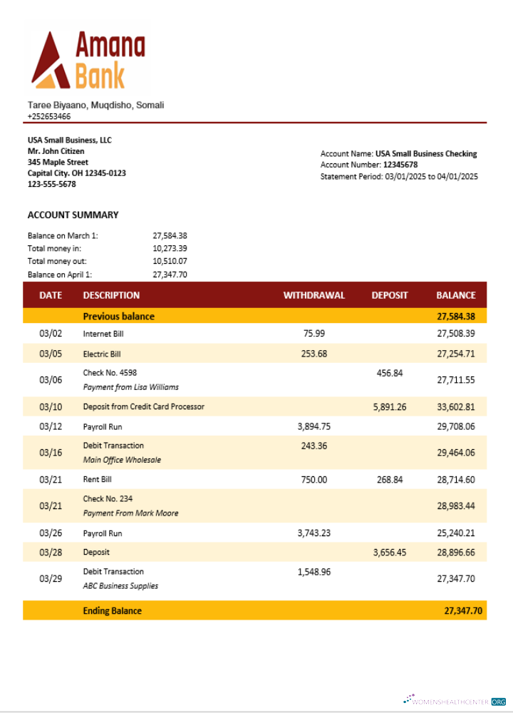 Download Somalia Amana business checking account statement Word and PDF template Photoshop template